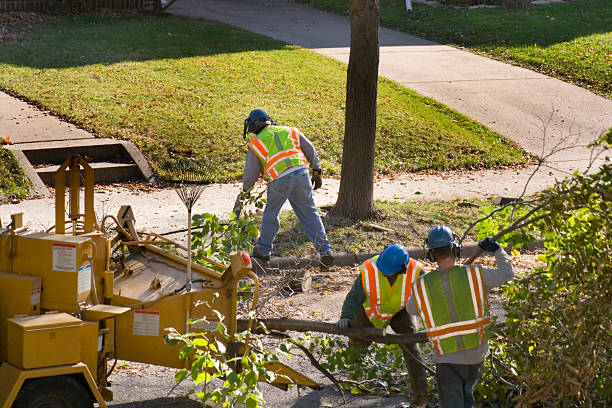 Best Hazardous Tree Removal  in Hudson Lake, IN